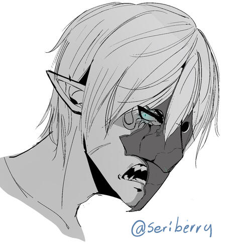 @seriberry